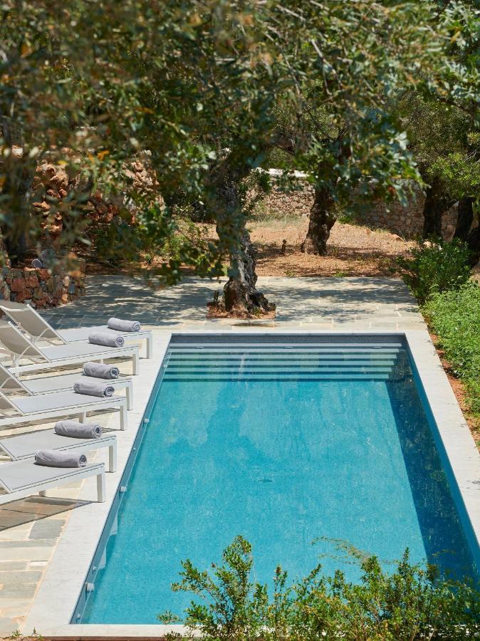 Bed and Breakfast Patrick & Joan Leigh Fermor House Kardamyli Exterior foto